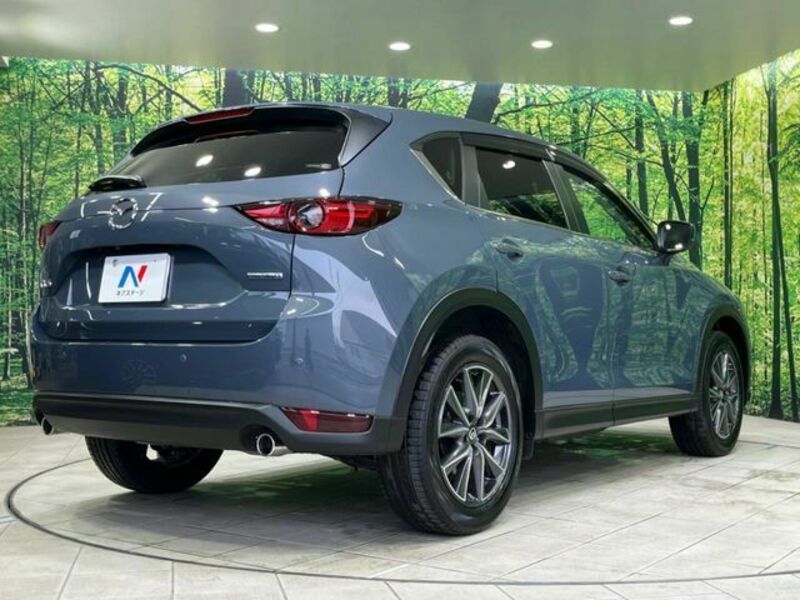 CX-5-16