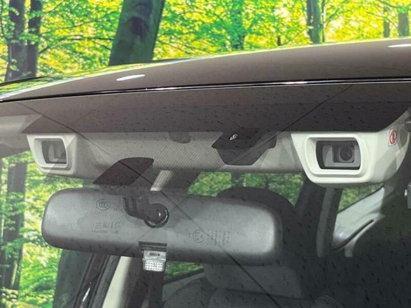 FORESTER-2
