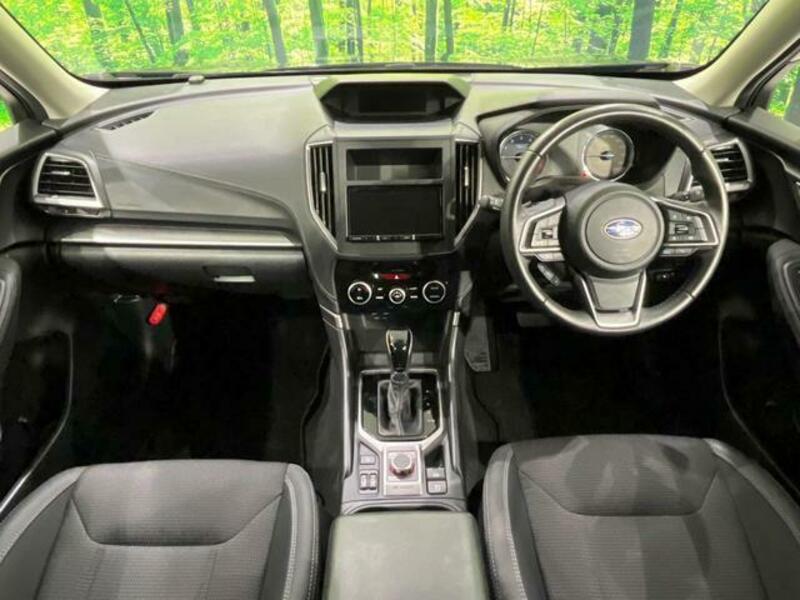 FORESTER-1