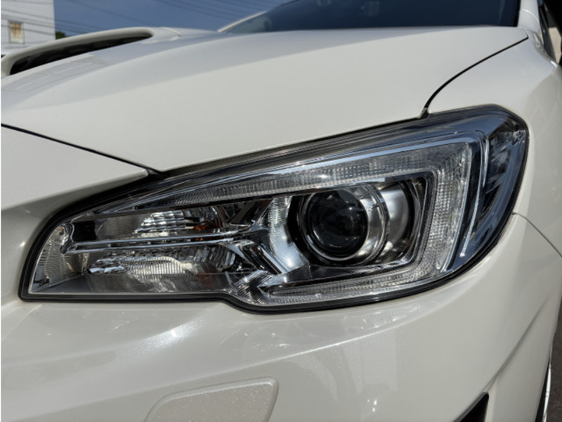 LEVORG-8