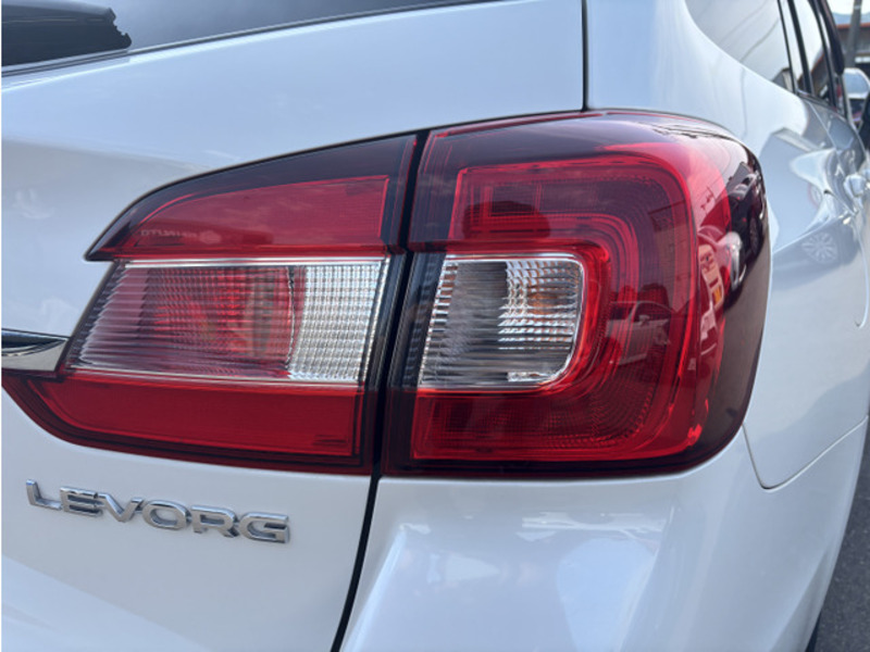 LEVORG-17