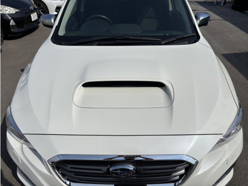 LEVORG-6