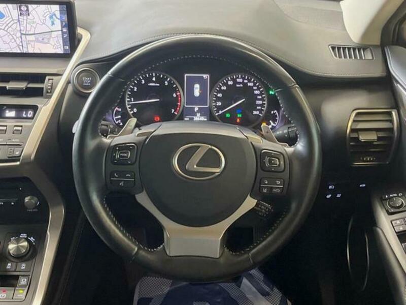 NX