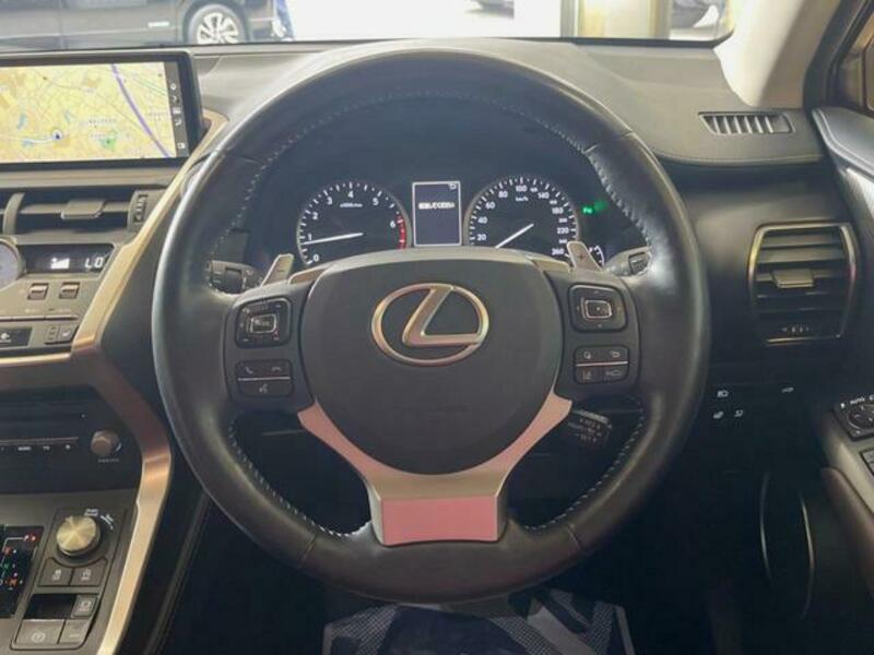 NX
