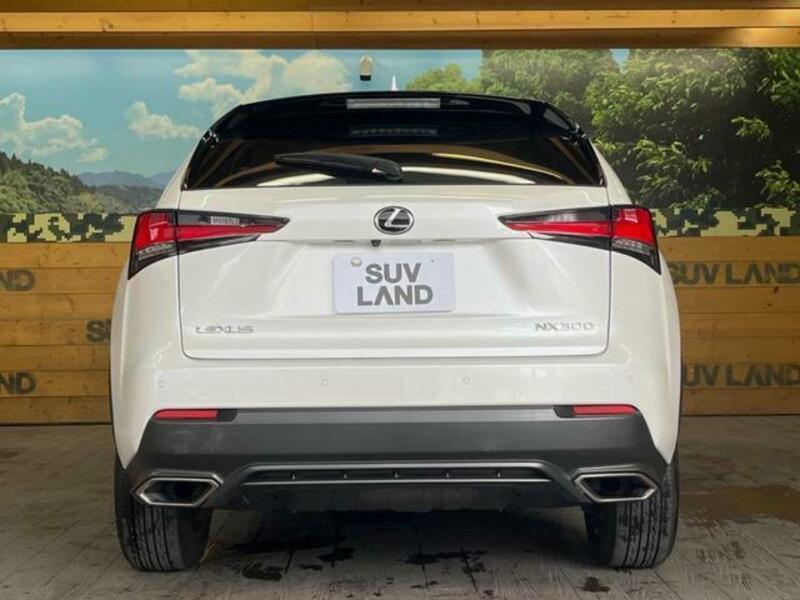 NX