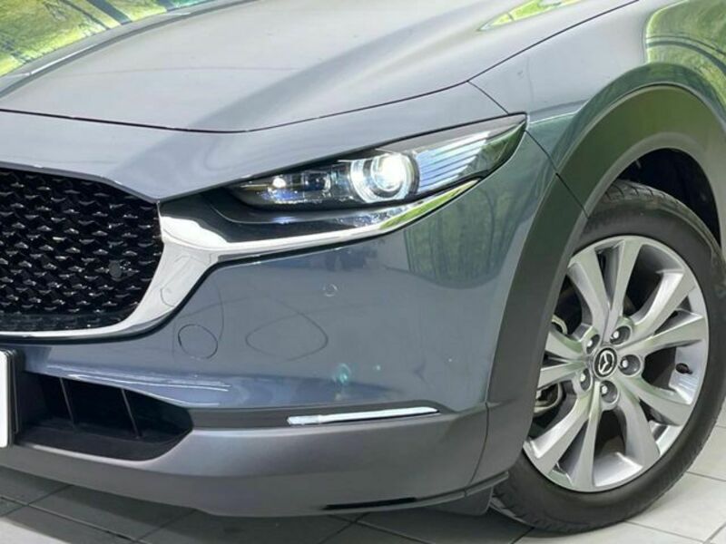 CX-30