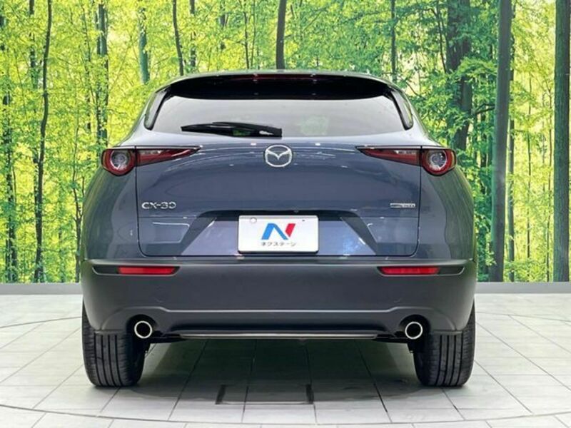 CX-30
