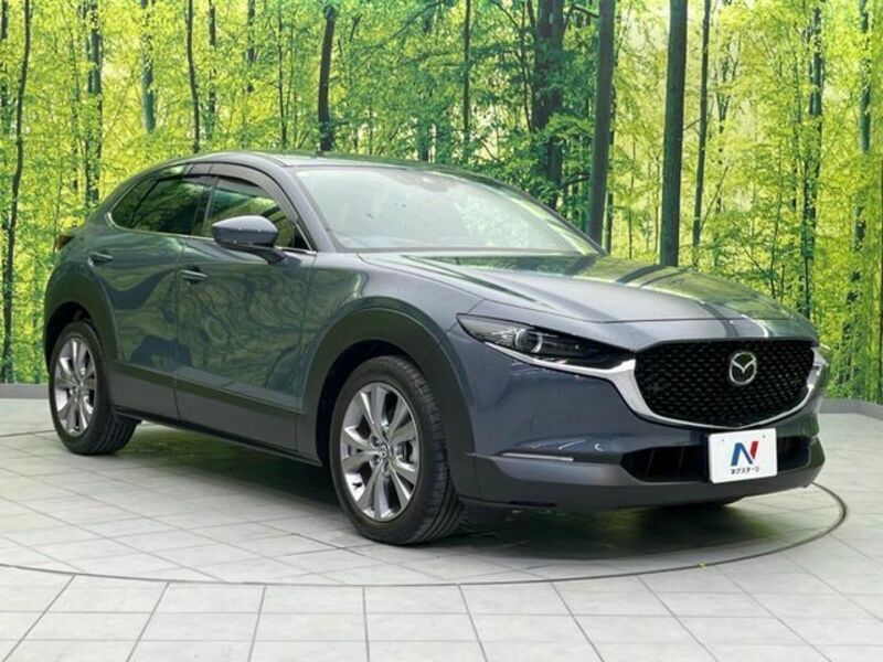CX-30