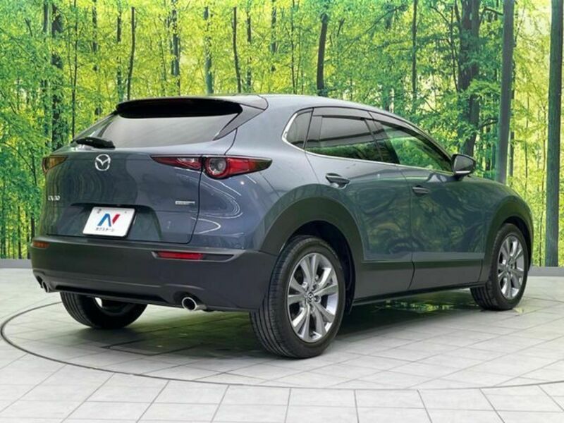 CX-30