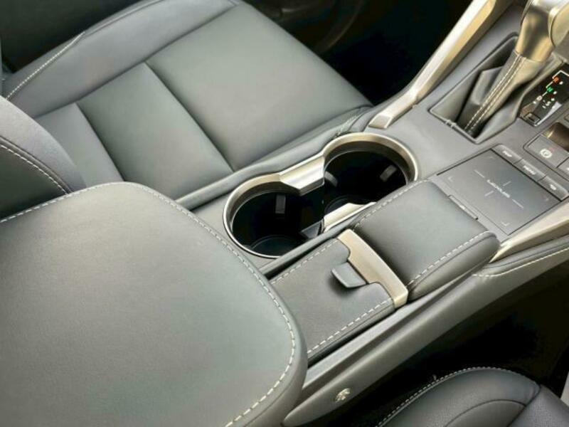 NX