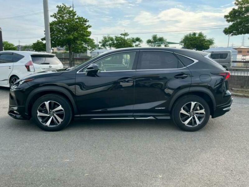NX