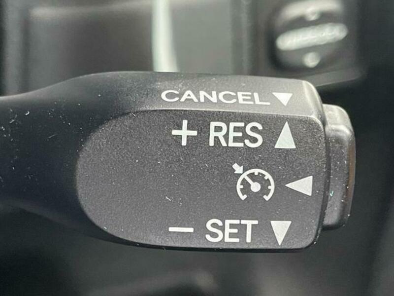 FJ CRUISER