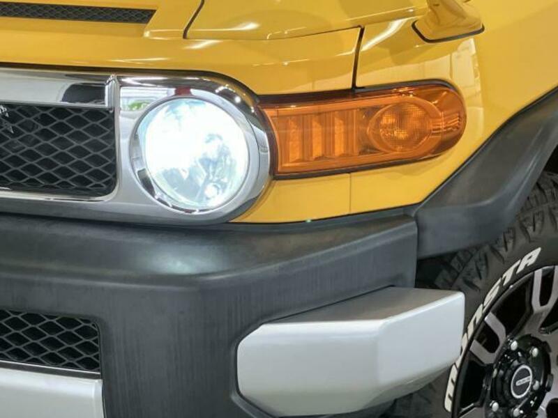 FJ CRUISER