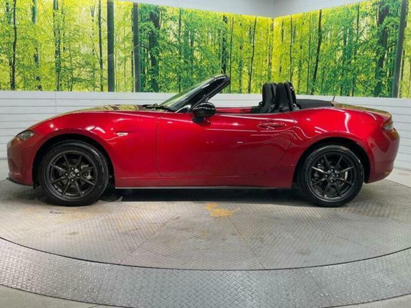 ROADSTER