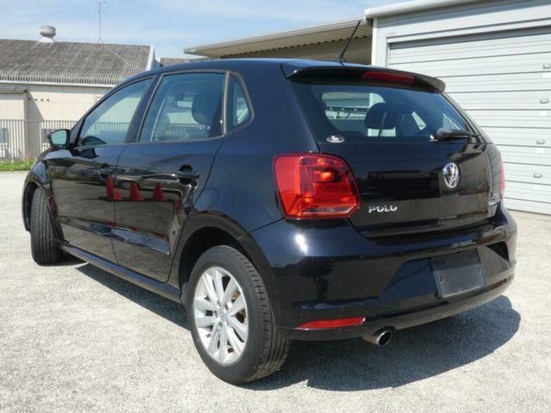 POLO-8