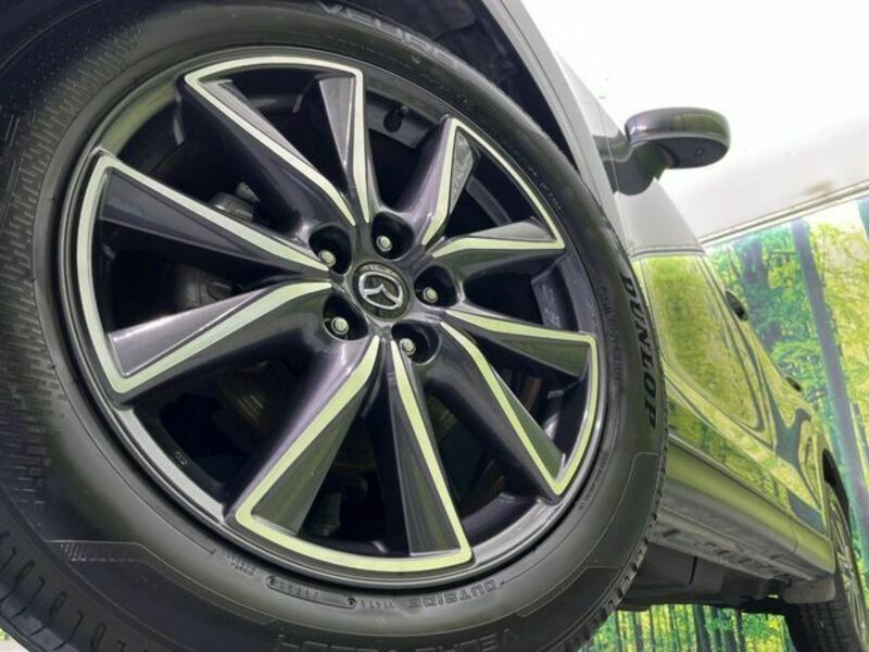 CX-5-13