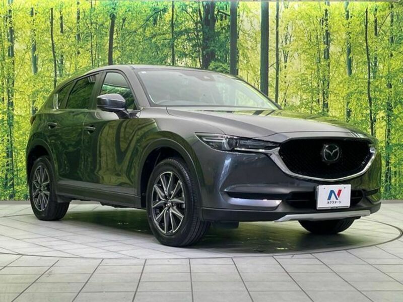 CX-5-16