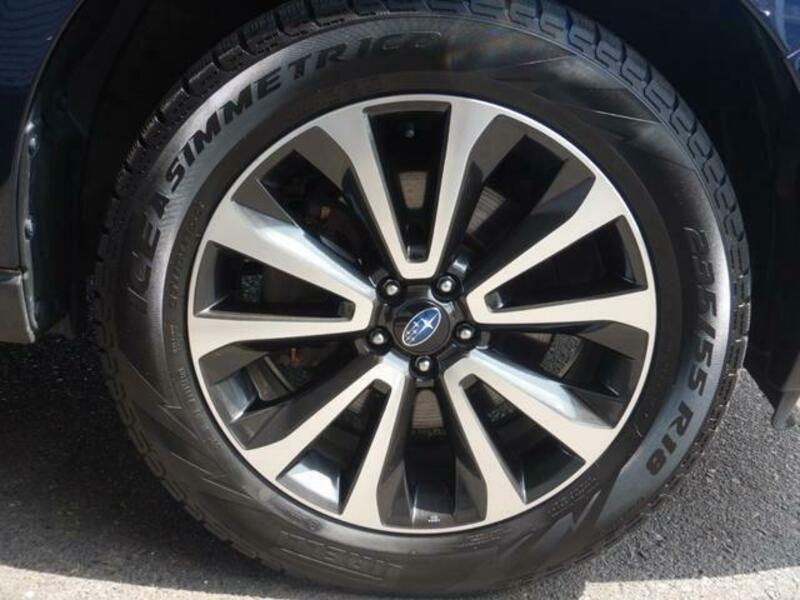 FORESTER-16