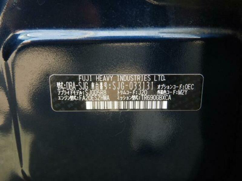FORESTER-2
