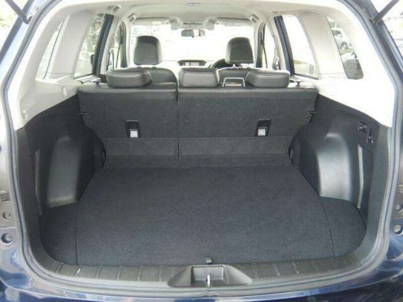 FORESTER-9