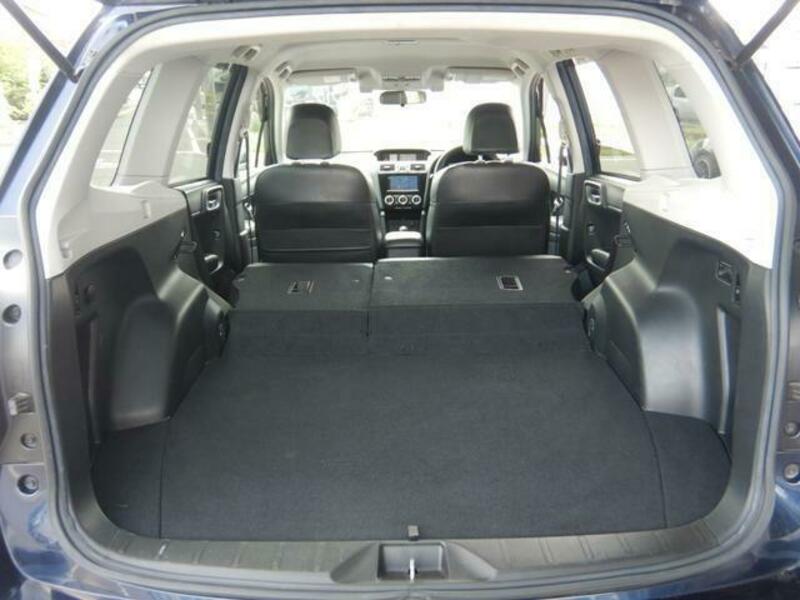 FORESTER-10