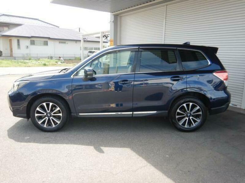 FORESTER-14