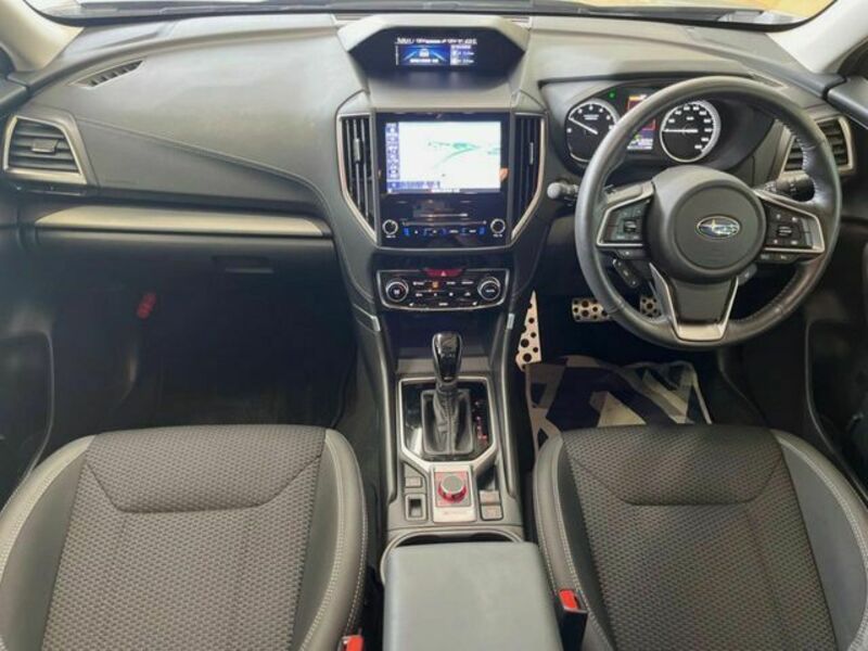 FORESTER-1