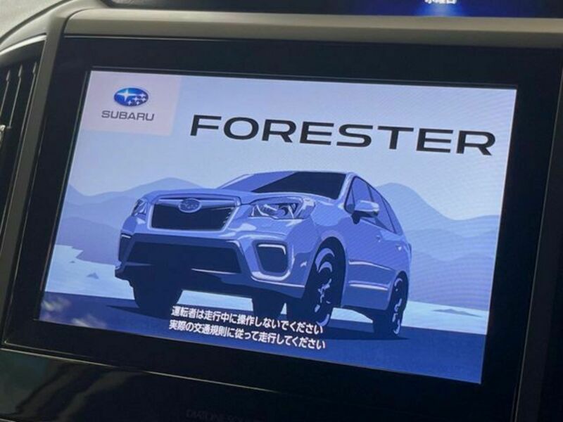 FORESTER-2