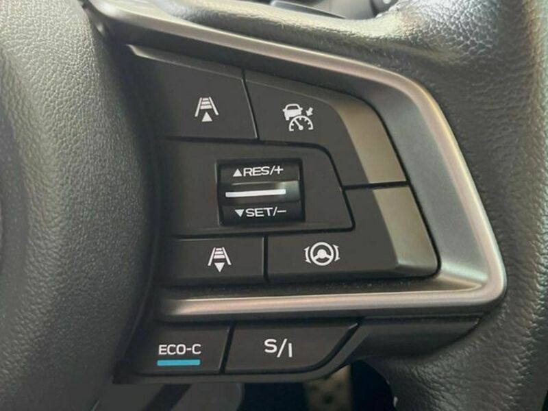 FORESTER-4