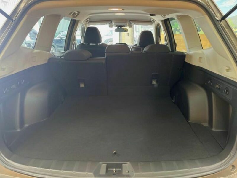 FORESTER-9