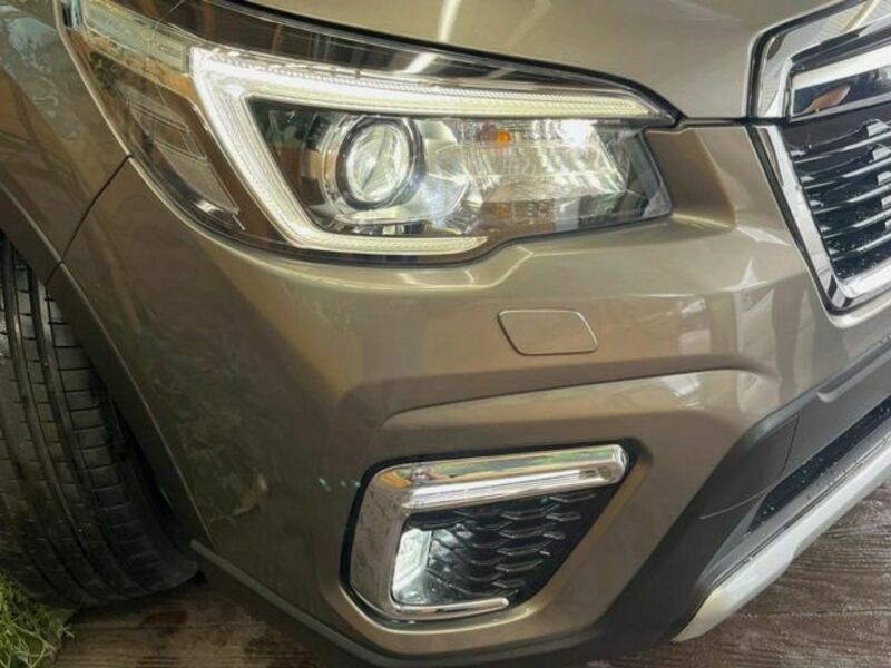 FORESTER-11