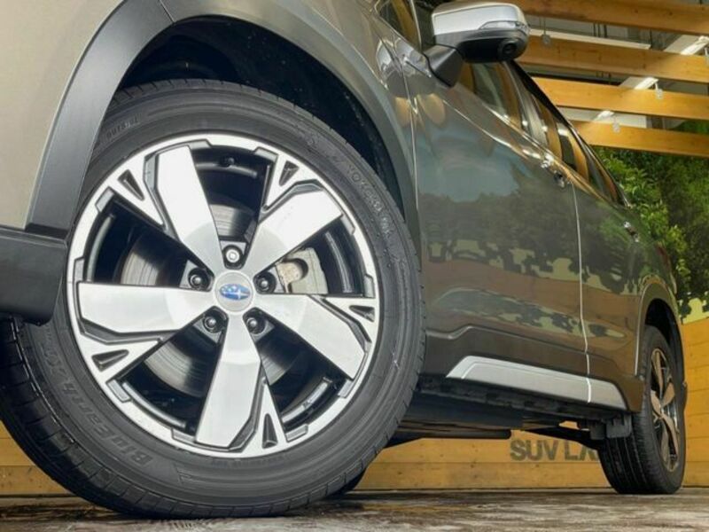 FORESTER-12