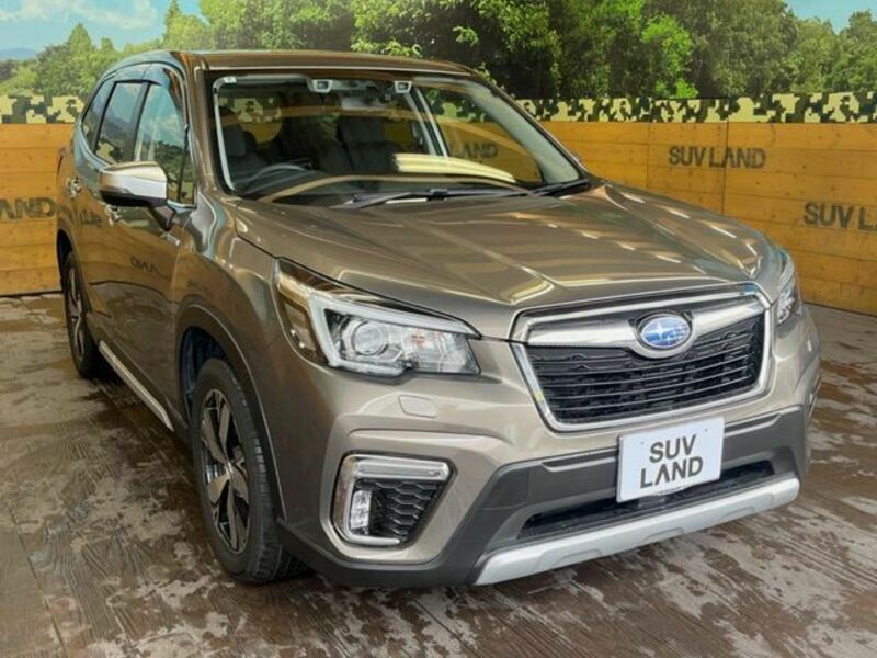 FORESTER-15