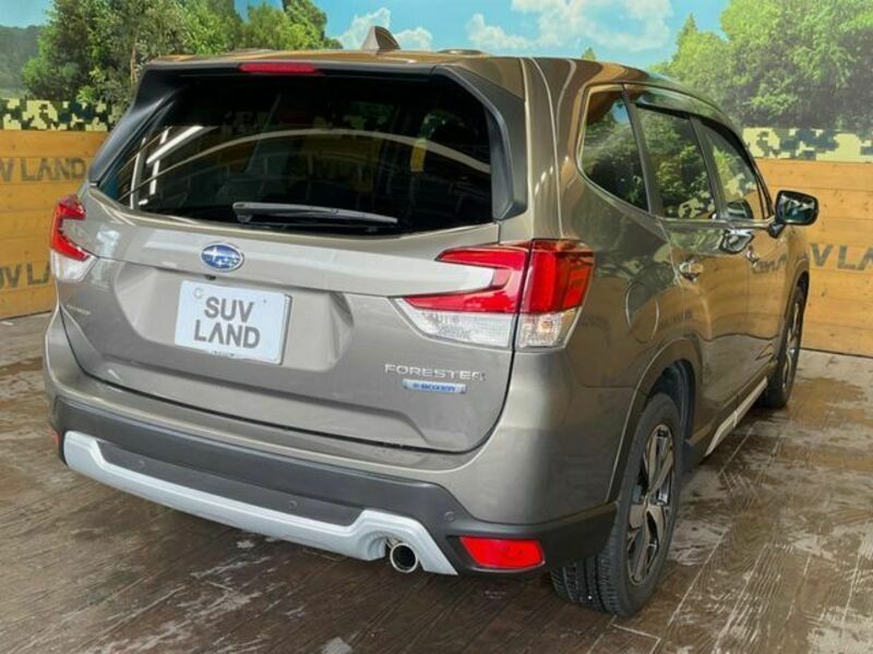FORESTER-16