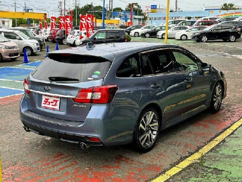 LEVORG