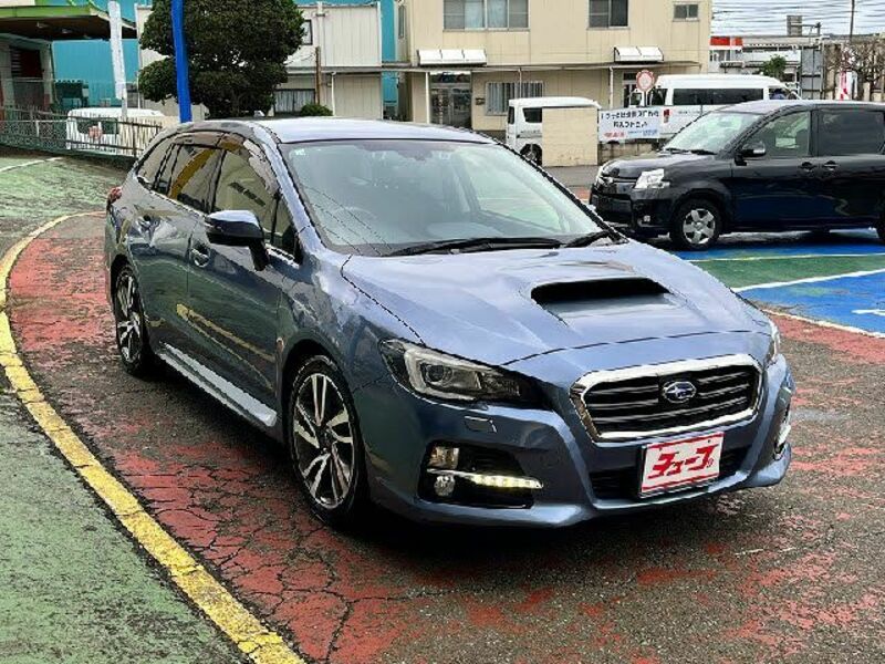 LEVORG