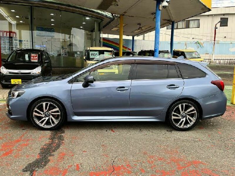 LEVORG