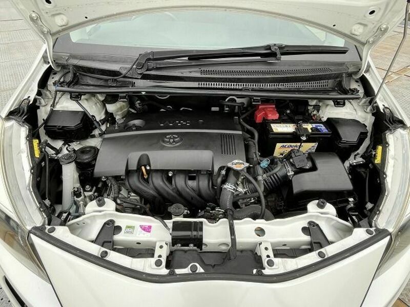 VITZ