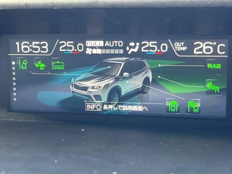 FORESTER-3