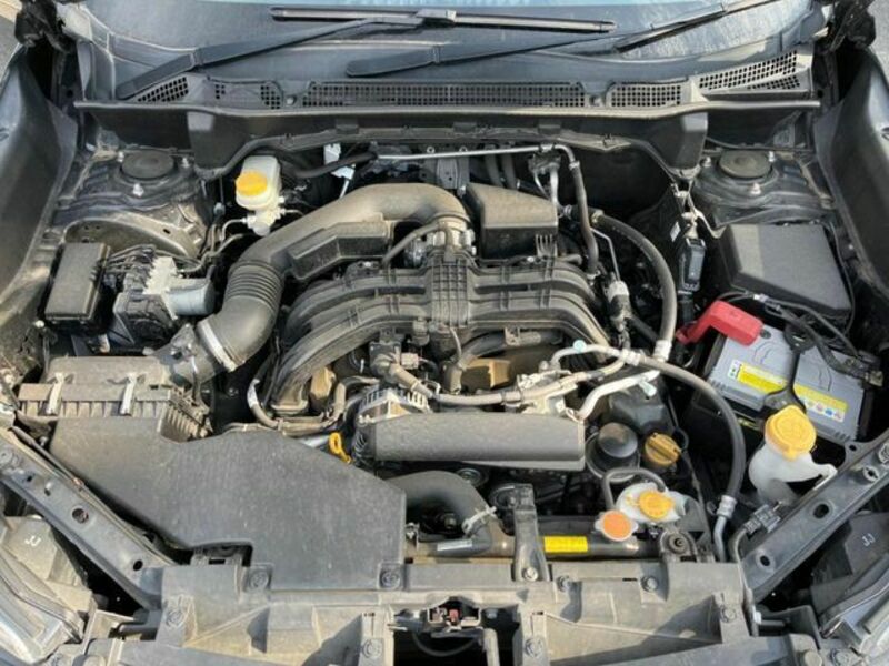 FORESTER-17