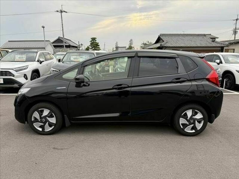 FIT HYBRID-10