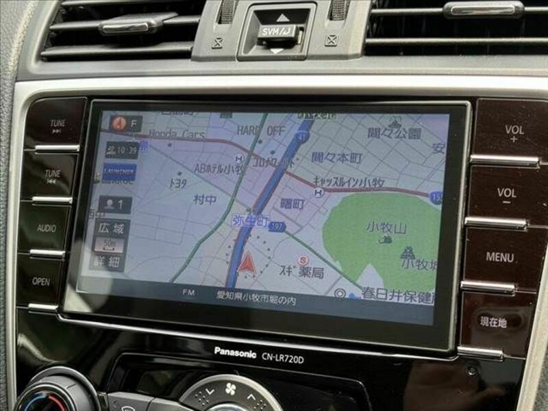 LEVORG-3