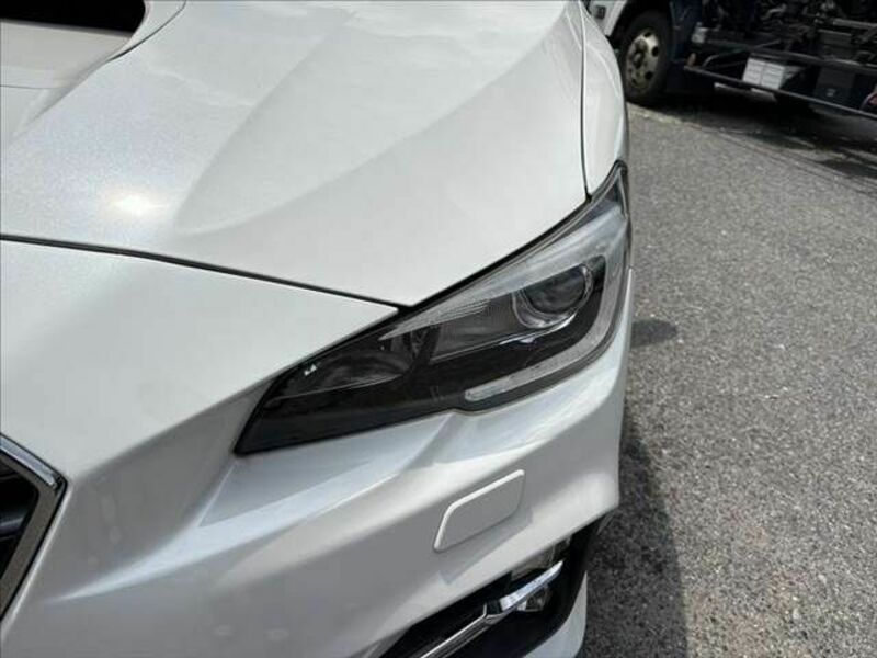 LEVORG-19