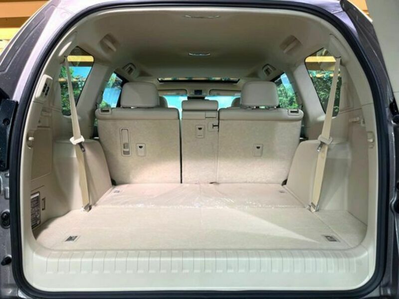 LAND CRUISER PRADO-13