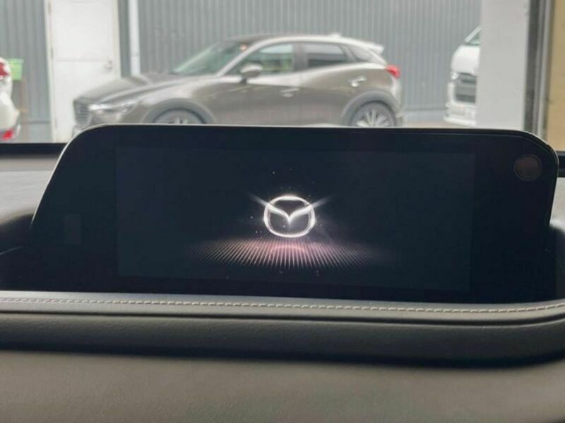 CX-30