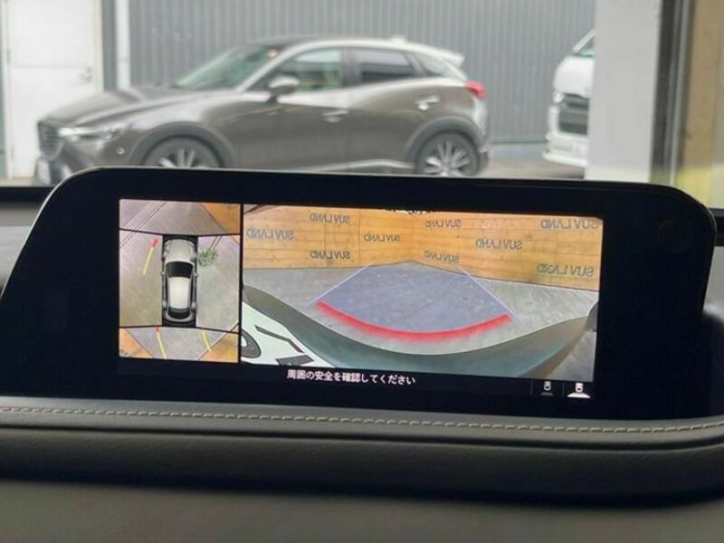 CX-30