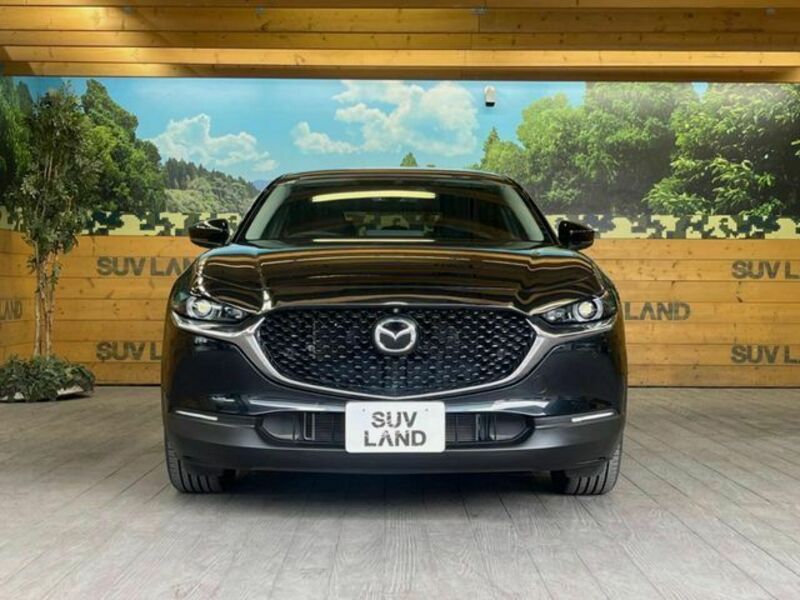 CX-30