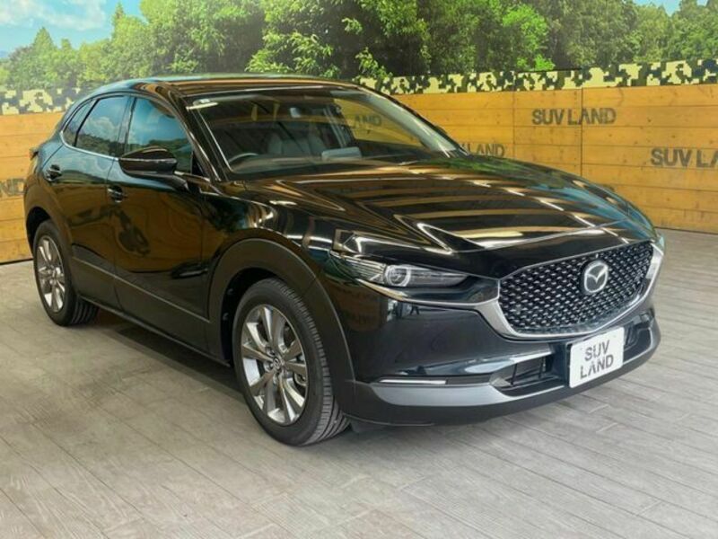 CX-30