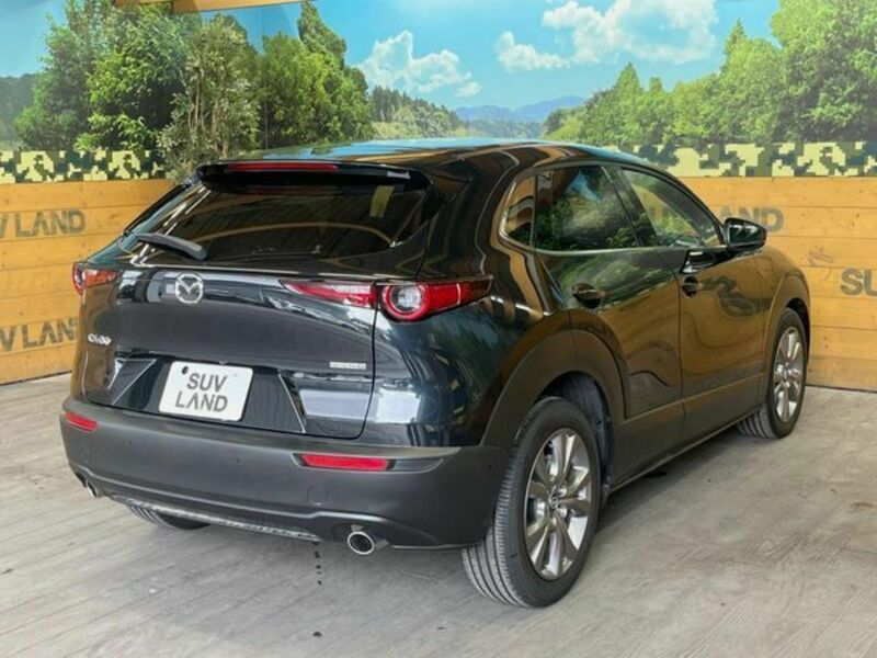 CX-30
