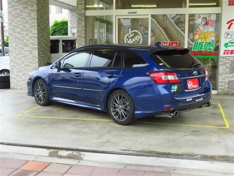 LEVORG